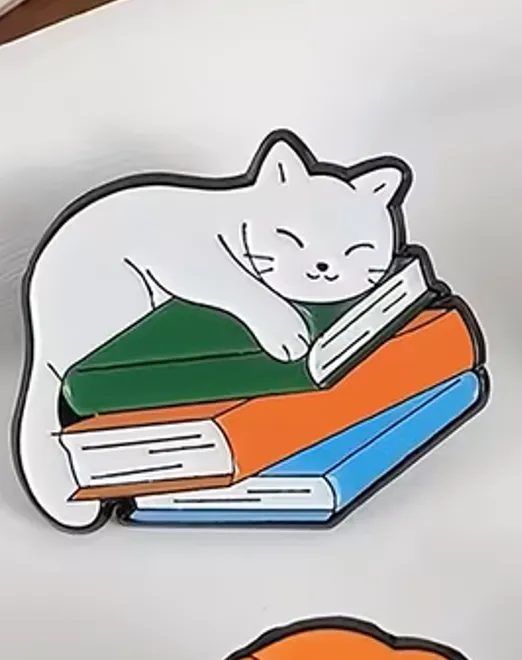 PIN - GATO Y LIBRO